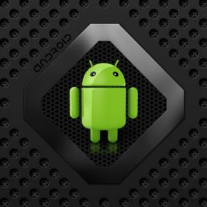 Logo du Robot Android