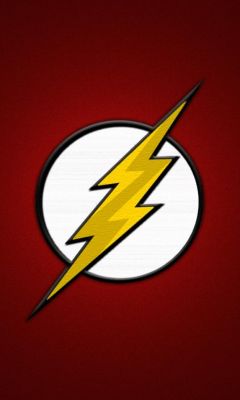 Logo Flash
