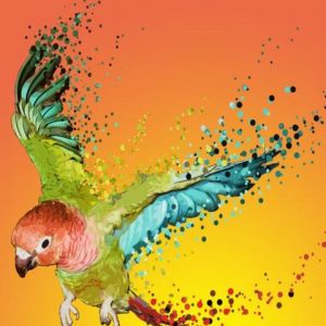 Perroquet Coloré en Vol