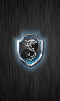 Logo Écu Dragon