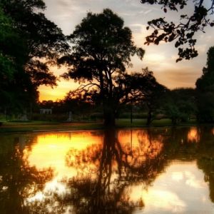 Reflet du Coucher de Soleil dans la Nature