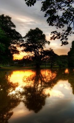 Reflet du Coucher de Soleil dans la Nature
