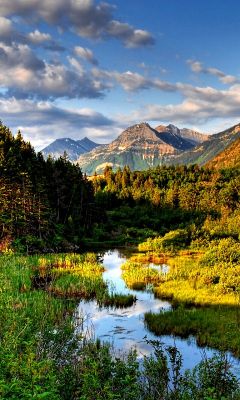 Paysage de montagne pittoresque