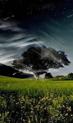 Paysage Nocturne Serein