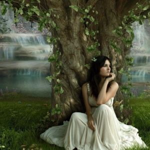Beauté Envoûtante de la Forêt