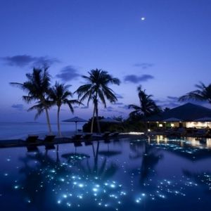 Piscine Nocturne Sereine avec Palmiers