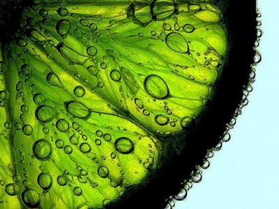 Tranche de Citron Vert Frais avec Bulles
