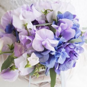 Beau Bouquet de Fleurs Violettes
