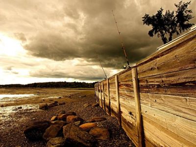Paysage de Plage Serein