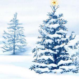 Sapin de Noël Enneigé