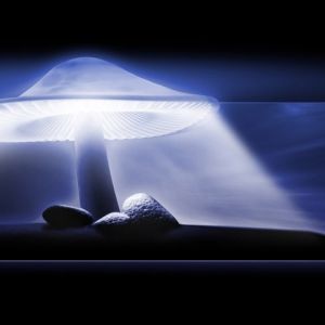 Lumière Mystérieuse et Rochers