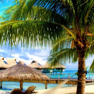 Paradis Tropical