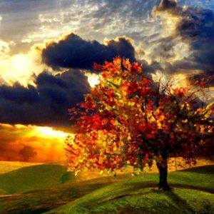 Paysage d'Automne au Coucher de Soleil