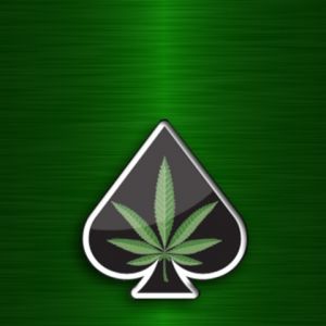 Design de Feuille de Pique Verte