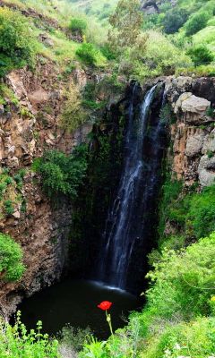 Cascade Époustouflante dans la Nature