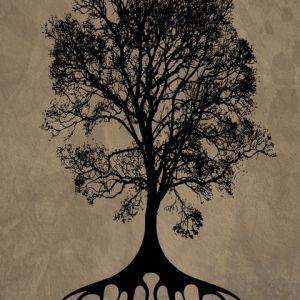 Silhouette d'Arbre avec Racines