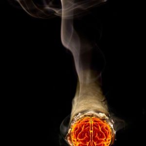 Art de la fumée de cerveau enflammé