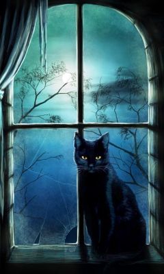 Chat Noir Mystique à la Fenêtre