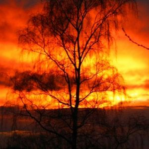 Silhouette Éblouissante du Coucher de Soleil