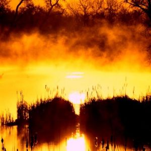 Coucher de Soleil Doré sur l'Eau