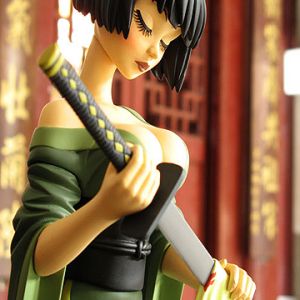 Fille Samurai Élégante
