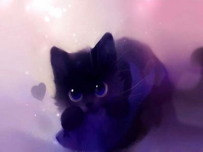 Chat Noir Mignon