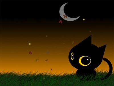 Chat Noir Mignon de Nuit