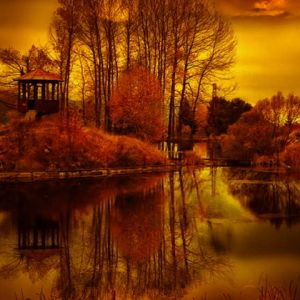 Reflets d'Automne dans la Nature