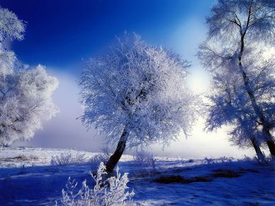 Paysage d'Hiver Givré