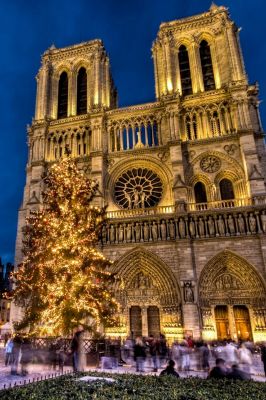 Noël à la Cathédrale Notre Dame