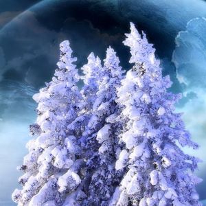 Arbres Enneigés dans l'Espace