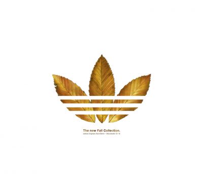 Collection Automnale Adidas