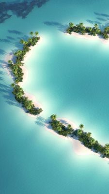 Paradis de l'Île Tropicale