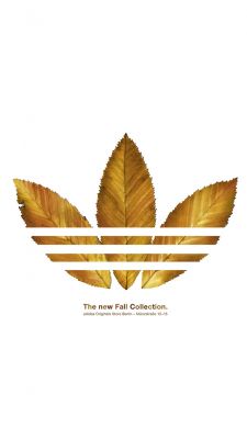 Collection Automnale Adidas