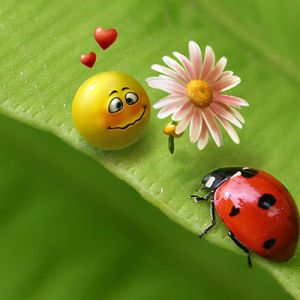 Coccinelle et Visage Souriant