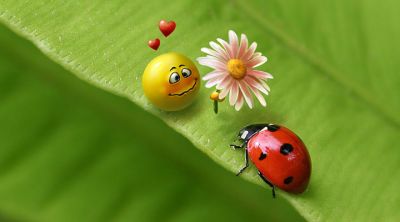 Coccinelle et Visage Souriant