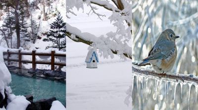 Paysage d'Hiver