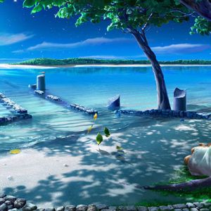 Nuit Sereine au Bord de l'Eau