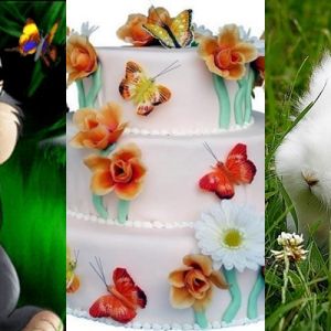Lapins Mignons et Gâteau aux Papillons