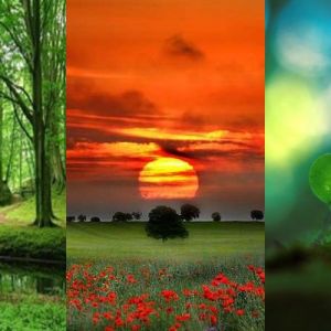 Paysages Naturels Sereins