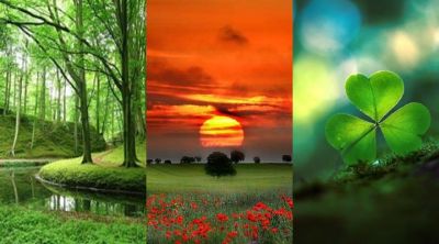 Paysages Naturels Sereins