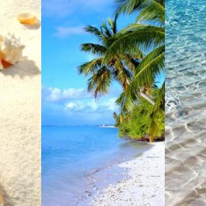 Paradis Tropical