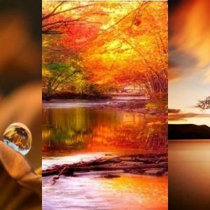 Paysages d'Automne