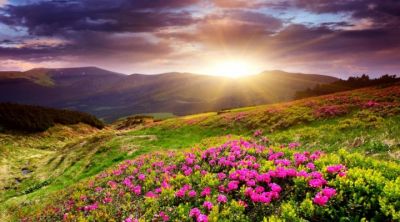 Coucher de Soleil sur Collines Fleuries