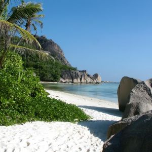 Paradis de Plage Tropicale