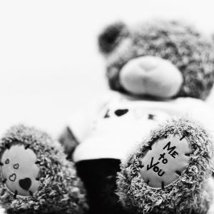 Ours en Peluche Amoureux