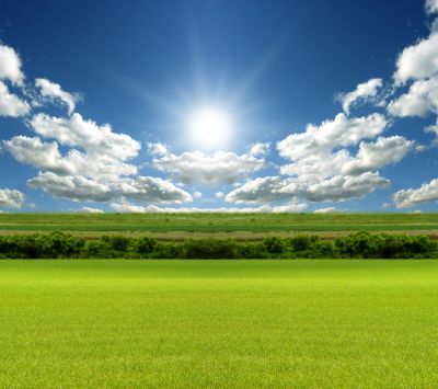 Ciel Ensoleillé et Champs Verts