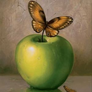 Papillon sur Pomme Verte