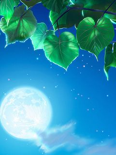Nuit de Lune avec Feuilles