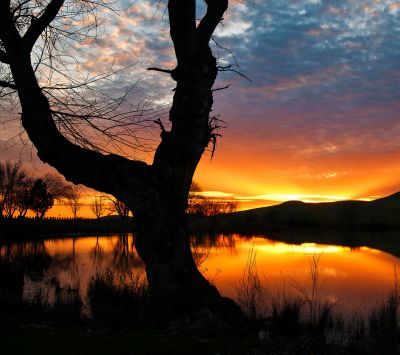 Éblouissant Reflet de Coucher de Soleil